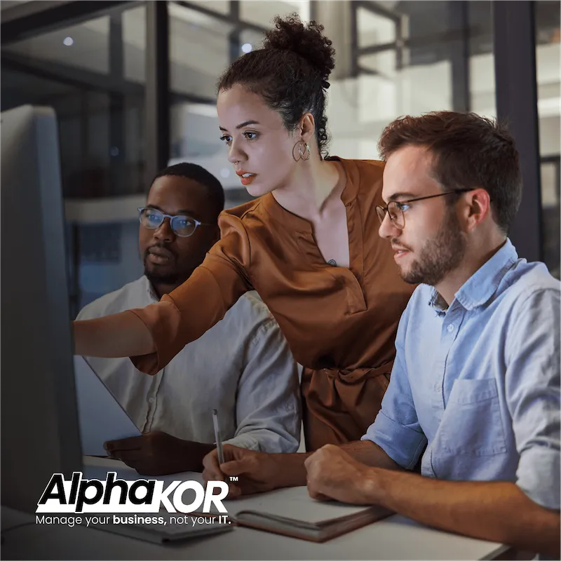 Network Support in Windsor ON